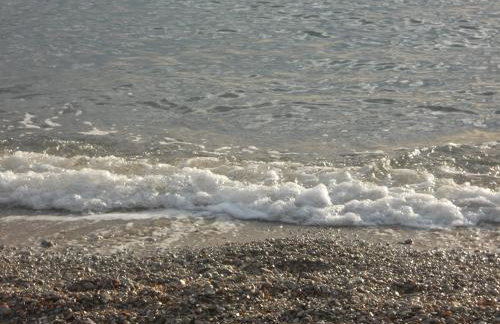 Apartmani Maslina Žuljana - Foto 65