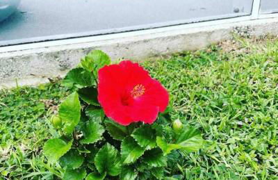 House with Heated Pool near to Florida Beaches - Foto 39