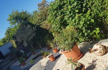 Ferienwohnung-Wald - Foto 24