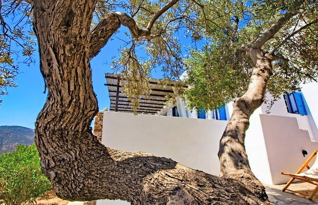 Sifnos Residence - Foto 21