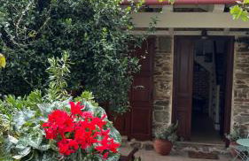 Dreamy Cottage - Photo 6