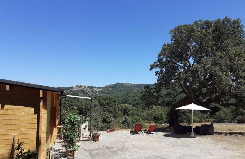 Eco Lodge nella natura Con Piscina privata "La Grande Quercia" - Foto 49