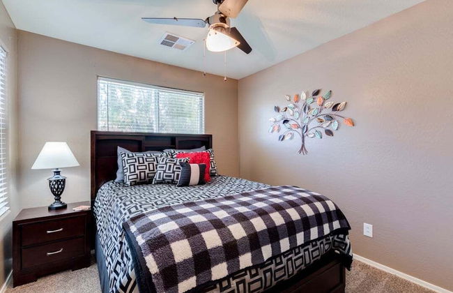 Palmen Maricopa - Foto 3