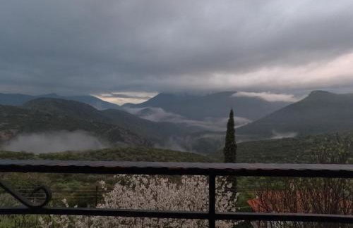 Levantes Mansion - Photo 39