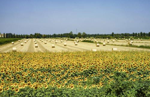 Apartments in Ariano nel Polesine 24954 - Photo 20