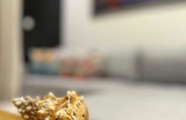 APARTAMENTO Alto Padrão Centro Itajaí - Foto 74