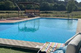 Santuário SOS Animal - Foto 36