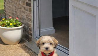 The Resting Shepherd - Foto 3