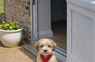 The Resting Shepherd - Foto 1