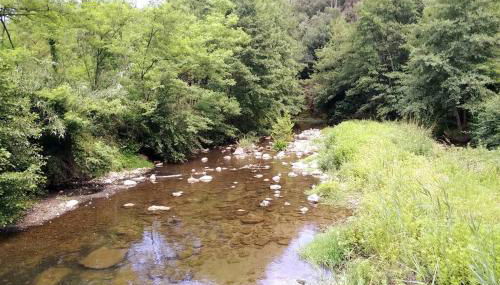 MAGNANERIE LEONY : Maison au calme avec jardin - Foto 5