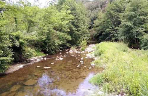 MAGNANERIE LEONY : Maison au calme avec jardin - Foto 5