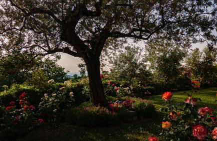 Il Casale di Fiore - Foto 42