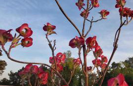 Apartman Brina - Photo 34