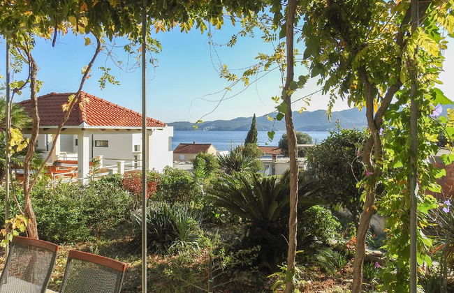 Villa Klara - Photo 50