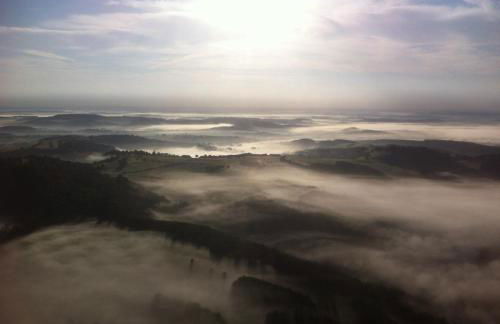 Casa Manderscheid - Foto 24