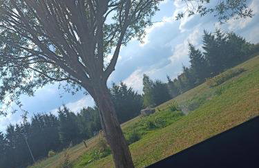 DOM w JESIONACH Brajniki - działka 1 HEKTAR - Photo 25