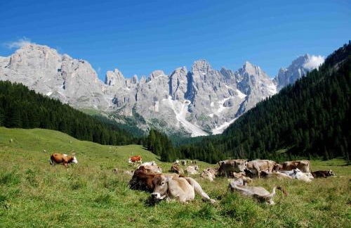 Casa Danoli - Foto 37