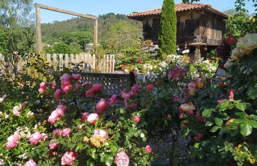 El Pedrueco Turismo Rural - Foto 22