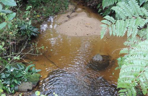 Casa Orquídeas Ubatuba Praia da Lagoinha - Foto 56