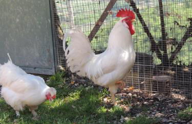 Società Agricola F.lli Angelucci - Foto 115