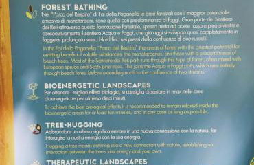 Paradise Apartments Paganella - Foto 25