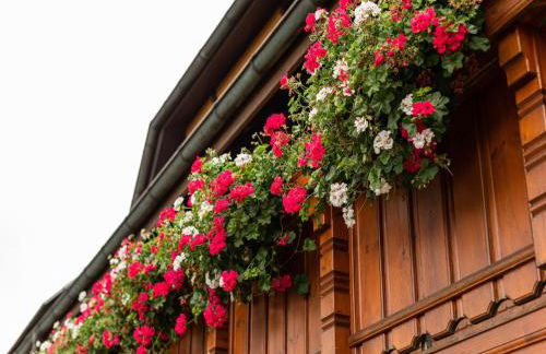 Ferienwohnung, Bernau - Foto 40