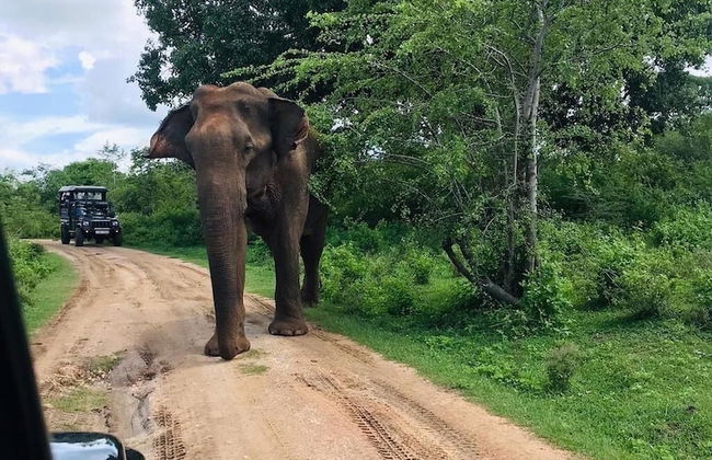 River Paradise Safari House with Cooking Class - Photo 15
