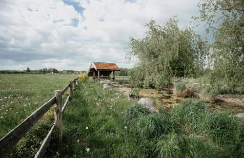 Dom HABASS - Foto 18