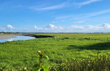 La Jeannette - Photo 12