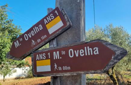 Casa Pregueira - Foto 29