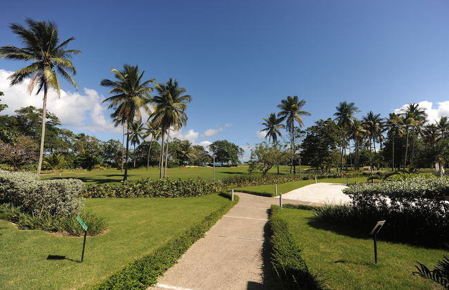 Blue JackTar Condos - Foto 28