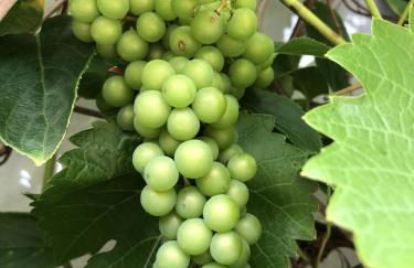 Bel Art Atelier mit großem Parkplatz - Foto 20