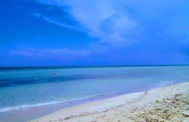 Sosta a colori - Foto 35