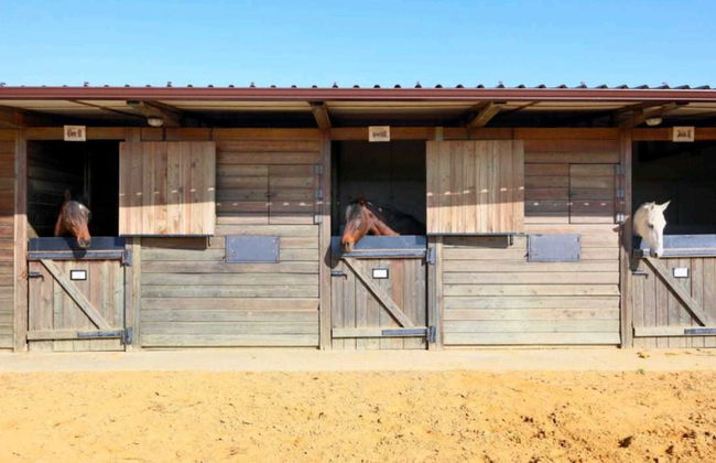 Casa Rural Ecuestre - Foto 45