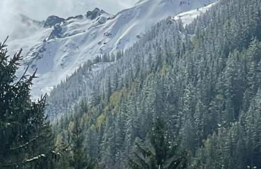 Large peaceful chalet for mountain adventures! Perfect for Flégère and Grand Montet skiing - Foto 63