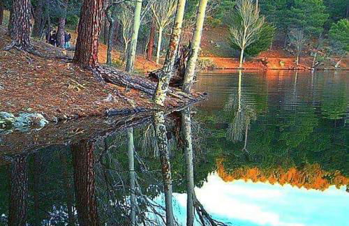 Apartamento Castilla - Photo 28