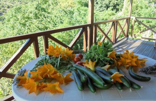 Periklis Guesthouse Anavriti. - Foto 36