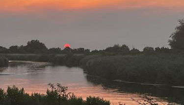 Le Nid du Teich - Foto 2