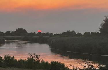 Le Nid du Teich - Photo 2
