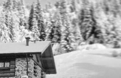 Chalet Lagorai - Foto 13