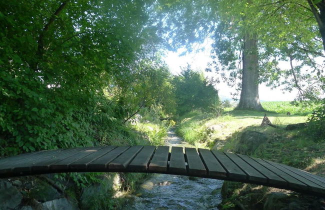 Ferienhaus Oase am Mühlebach - Foto 15