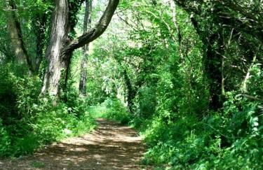 The Lakehouse Onsite Free Pools & Spa - Foto 43