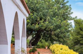 El mirador de la Sonora - Foto 10