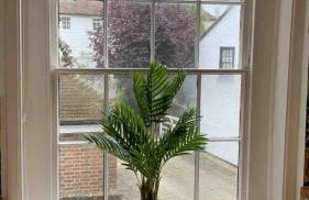 Location Spacious Character Flat in Central Rye - Foto 15