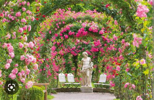 A&A Apartment Baden-Baden - Foto 23