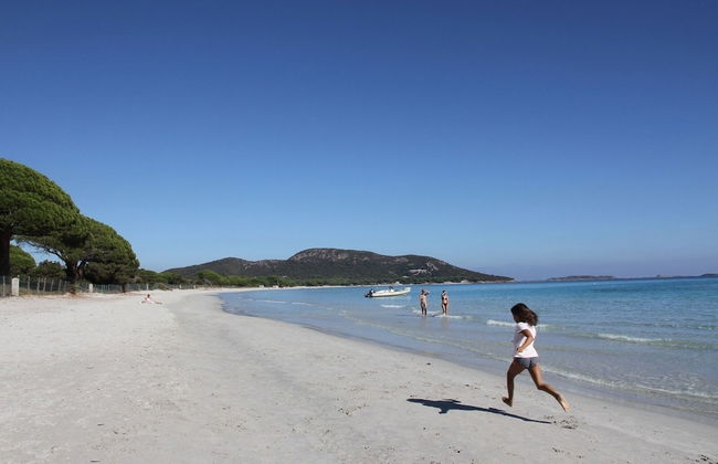 Residence a Licetta - Photo 40