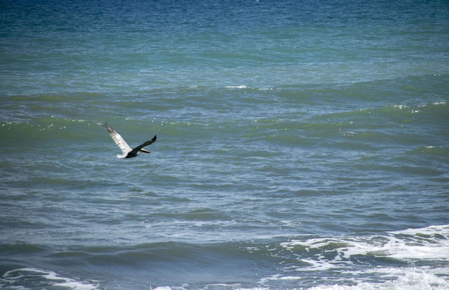 Villas Cabuya Beach & Forest - Foto 62