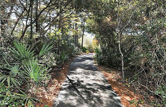 Summit at Tops'l 212 - Foto 15