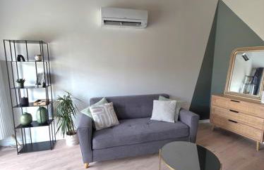 Logement neuf tout équipé, climatisé avec terrasse, barbecue, proche du bourg et des plages océanes, WIFI, linge et ménage compris - Foto 25