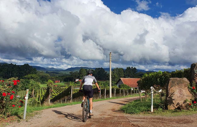 Nove Colônias Bike Tour + Picnic at Casa Sander - Foto 8